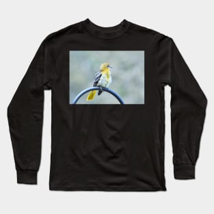 Sweet oriole fledgling Long Sleeve T-Shirt